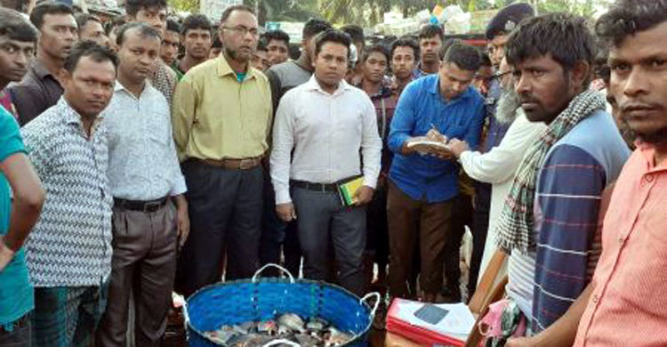 ফেনীতে ২ মণ পিরানহা মাছ পেলেন ভ্রাম্যমাণ আদালত