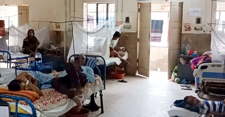 পিরোজপুরে হাসপাতালে আরও ১১ ডেঙ্গু রোগী