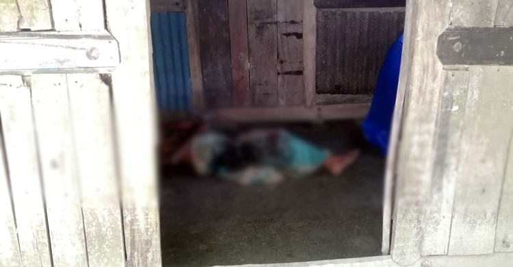 বসতঘরে দিনমজুরকে কুপিয়ে হত্যা