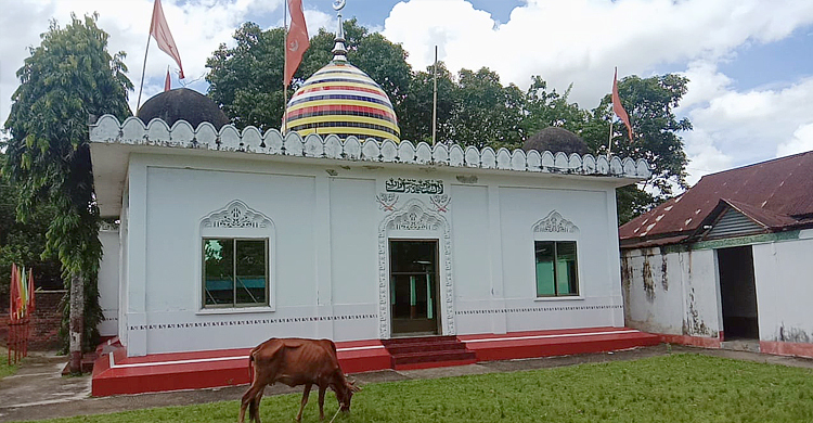 পানিতে চুবিয়ে কথিত পীরের চিকিৎসা, এলাকায় তোলপাড়