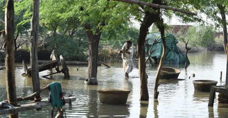 এক ম্যাচের টিকিটের টাকা বন্যার ফান্ডে দেবে পাকিস্তান