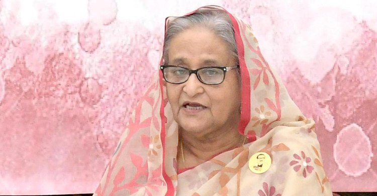 একটা শ্রেণি দেশের ভাবমূর্তি ক্ষতিগ্রস্ত করতে চায়: প্রধানমন্ত্রী