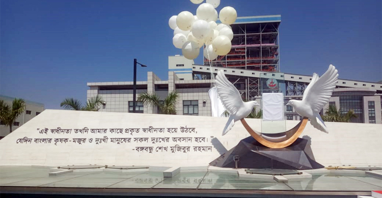 প্রধানমন্ত্রীকে বরণে প্রস্তুত পায়রা