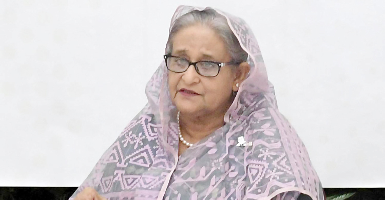 বেসরকারি খাতে উদ্যোক্তা তৈরিতে প্রধানমন্ত্রীর গুরুত্বারোপ