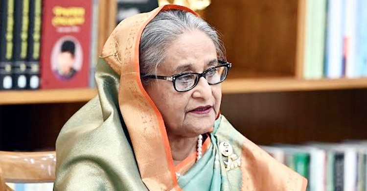 বঙ্গবন্ধুর স্বপ্ন বাস্তবায়নে নিরলসভাবে কাজ করছি: প্রধানমন্ত্রী