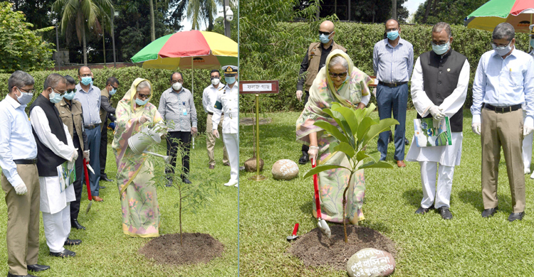 করোনা সাময়িক, আবার আমরা এগিয়ে যাব : প্রধানমন্ত্রী