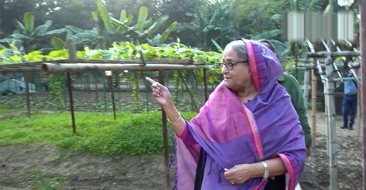 গণভবন যেন ‘গেরস্ত বাড়ি’