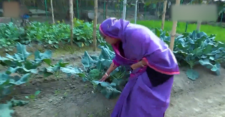 গণভবন যেন ‘গেরস্ত বাড়ি’