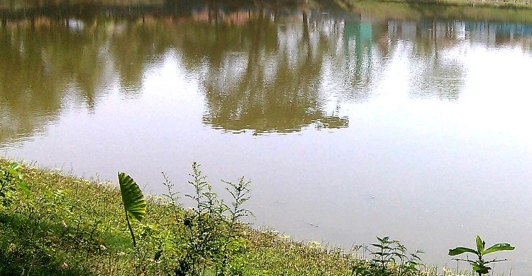 হবিগঞ্জে পুকুরে ডুবে শিশুর মৃত্যু