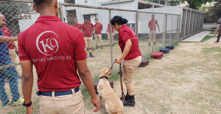দেশে প্রথমবারের মতো ডগ স্কোয়াড পরিচালনায় ৭ নারী পুলিশ সদস্য