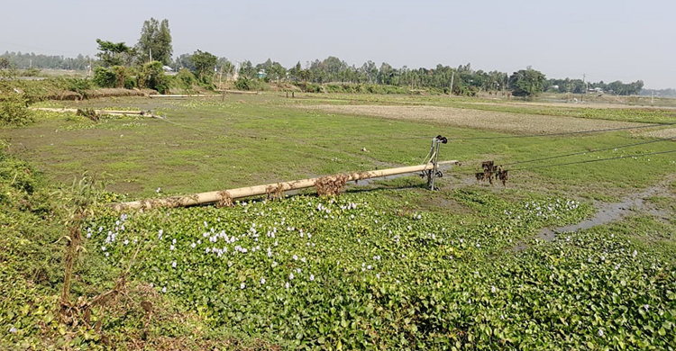 বিদ্যুতের খুঁটি নিয়ে পানিতে পড়ে লাইনম্যানের মৃত্যু