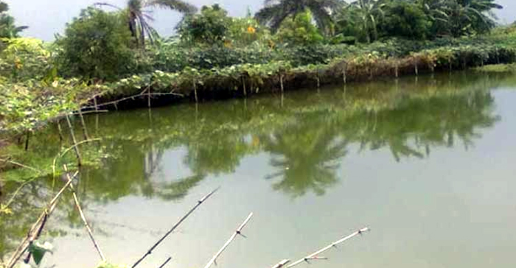 শেরপুরে পানিতে ডুবে তিন শিশুর মৃত্যু