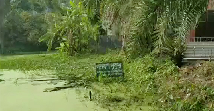 হলের দূষিত পানি ফেলার একমাত্র জায়গা গবেষণা পুকুর