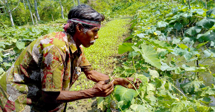 কৃষক পঙ্কজের সংগ্রামী জীবন