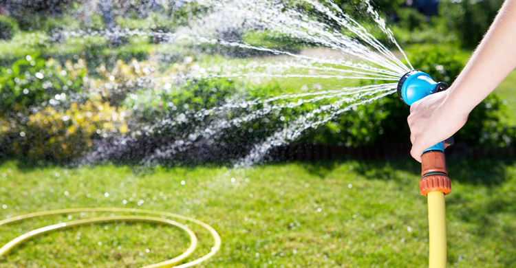 তীব্র খরায় পর্তুগালে রাস্তা ধোয়া, গাছে পানি দেওয়া নিষিদ্ধ