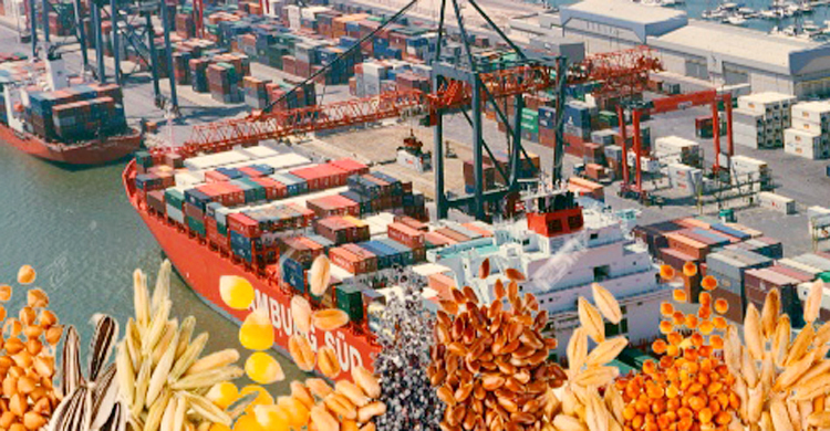 রাশিয়া-ইউক্রেন যুদ্ধে ক্ষতিগ্রস্ত পর্তুগালের অর্থনীতি