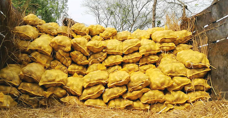 পঞ্চগড়ের আলু গেল মালয়েশিয়ায়