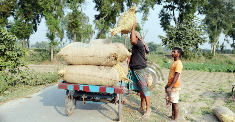 আলুর কেজি ৬ টাকা, তবুও মিলছে না ক্রেতা