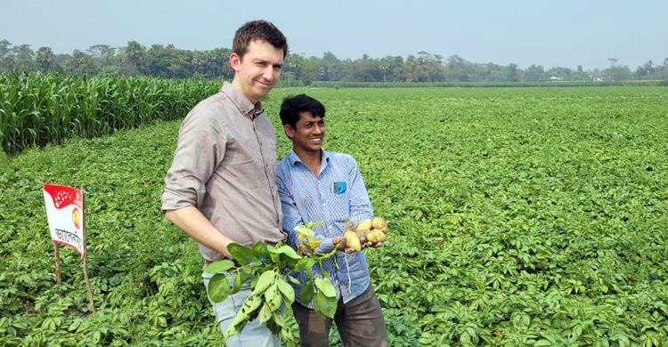 জনপ্রিয়তা পাচ্ছে নেদারল্যান্ডসের আলুর জাত ‘ভ্যালেনসিয়া’