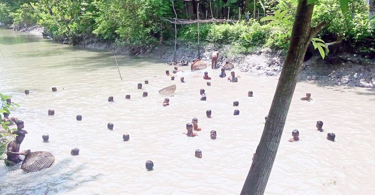 পটুয়াখালীতে মাছ ধরা উৎসব