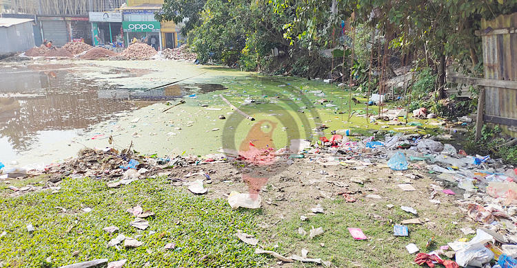 ভরাটে জলাশয় কমছে পটুয়াখালী শহরে