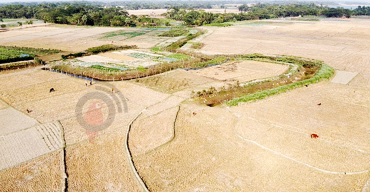 পানি সংকটে হুমকিতে নীলগঞ্জের সমৃদ্ধ কৃষি