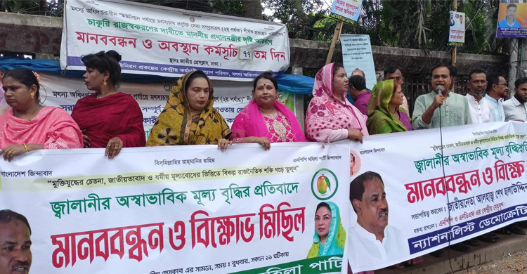 ‘বিদ্যুৎ-জ্বালানি খাত ধ্বংস করছে পর্দার আড়ালের কিছু ব্যক্তি’