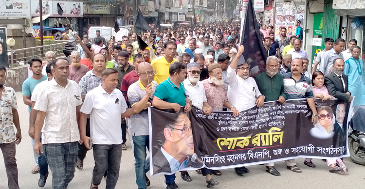 পাকিস্তানিরা টিকতে পারেনি, আওয়ামী লীগও পারবে না: প্রিন্স