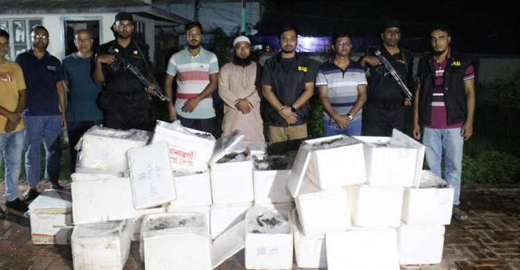 ৫০০ কেজি জেলি পুশকৃত চিংড়ি জব্দ, তিন ব্যবসায়ীকে জরিমানা