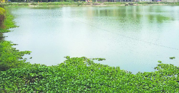 খেলতে গিয়ে পুকুরে পড়ে দুই শিশুর মৃত্যু