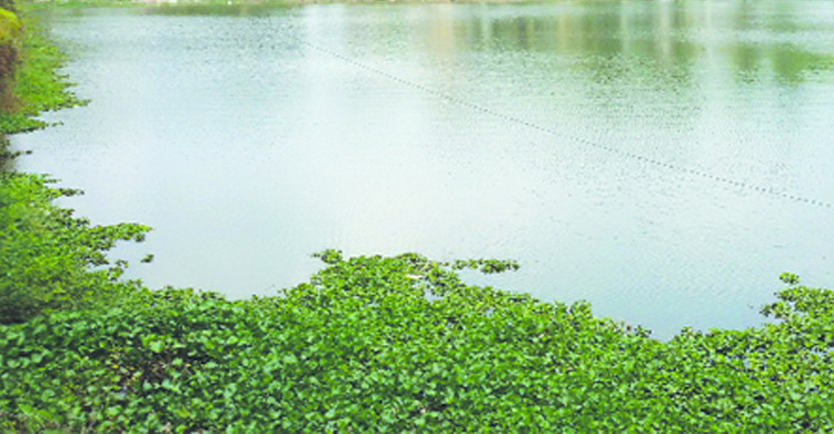 দিনাজপুর পুকুরে ডুবে প্রাণ গেলো দুই শিশুর