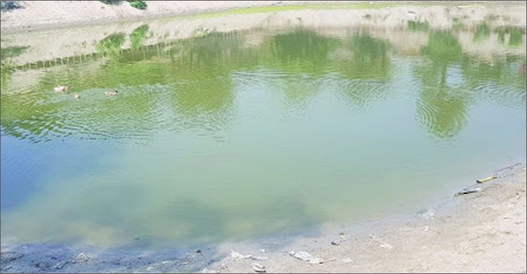 খেলতে গিয়ে নিখোঁজ, পুকুরে ভেসে উঠলো দুই বোনের মরদেহ