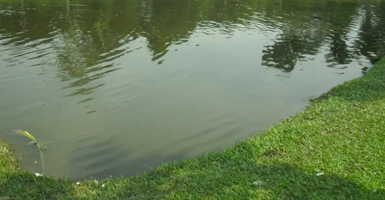 বাঁশখালীতে পুকুরে ডুবে মাদরাসাছাত্রের মৃত্যু