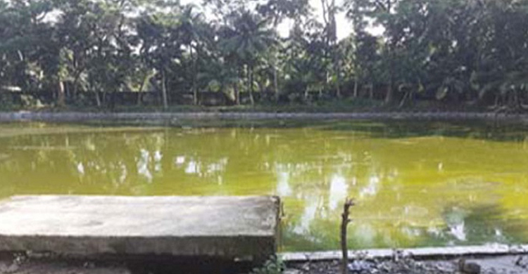 খেলতে গিয়ে প্রাণ গেল ভাইবোনের