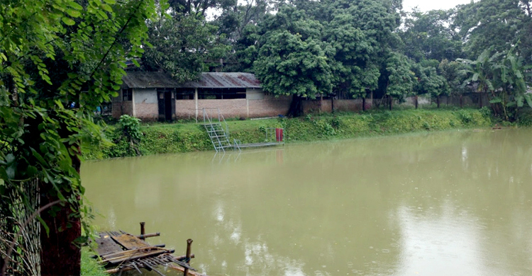 পুকুরে ভাসছিল মাসহ দুই সন্তানের লাশ