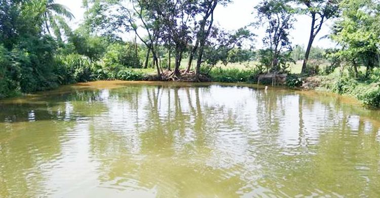 আবারও সেই পুকুরেই মিলল বিষ্ণমূর্তি