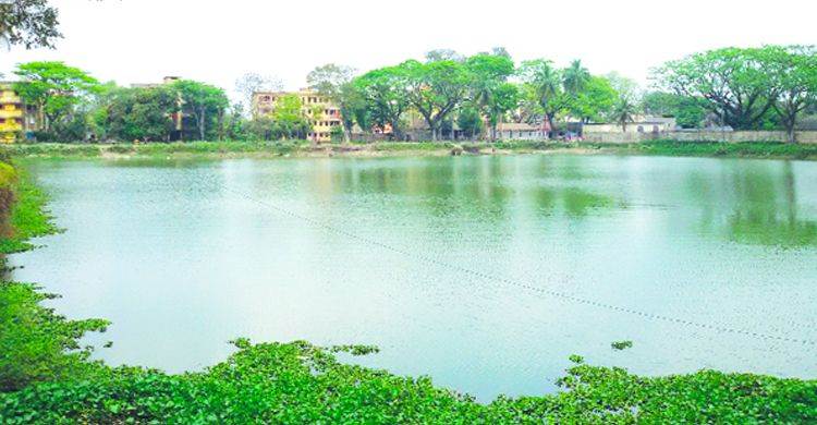 মা ব্যস্ত রান্নায়, পুকুরে ডুবে প্রাণ গেলো শিশুর