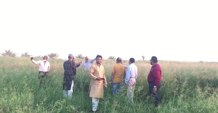 কাতারের আল দোসারি পার্ক, এক টুকরো বাংলাদেশ