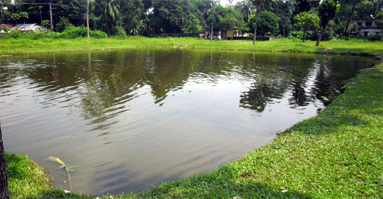 ঈদে নানার বাড়িতে বেড়াতে গিয়ে নাতির মৃত্যু