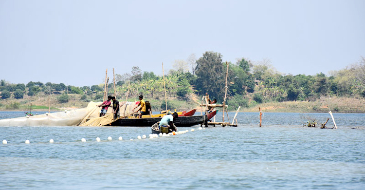 ১ মে থেকে কাপ্তাই হ্রদে মাছ শিকারে নিষেধাজ্ঞা