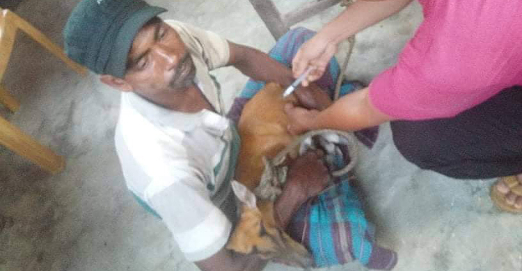 কর্ণফুলীতে ডুবে যাওয়ার সময় হরিণ শাবক উদ্ধার