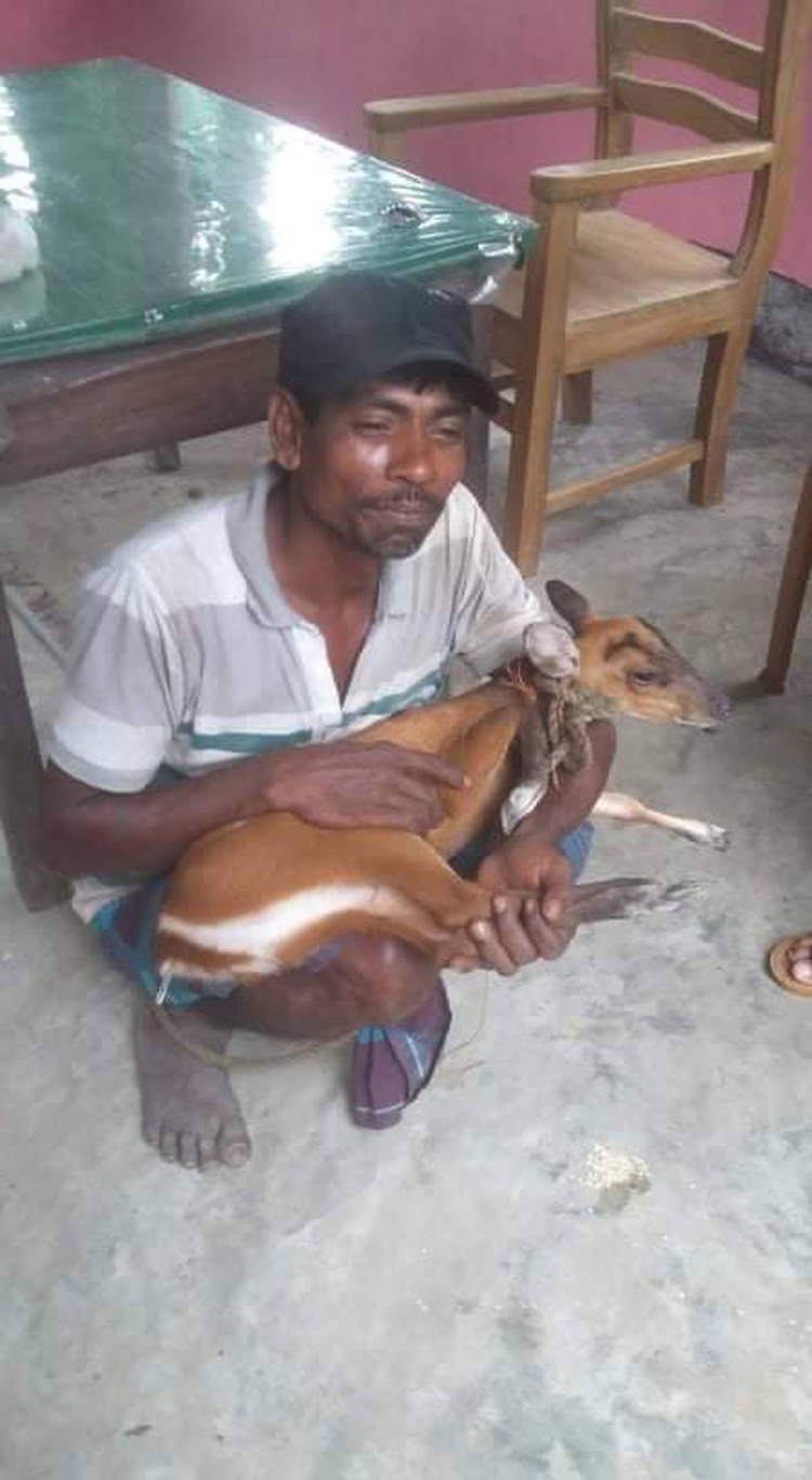 কর্ণফুলীতে ডুবে যাওয়ার সময় হরিণ শাবক উদ্ধার