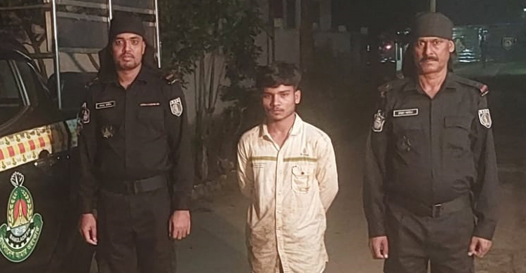 প্রাইভেটকার ধাওয়া করে ৫০ কেজি গাঁজাসহ কারবারি ধরলো র‌্যাব