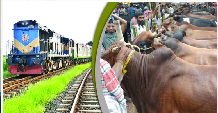 রেলে প্রচলিত ভাড়ায় কোরবানির পশু পরিবহনের পরিকল্পনা