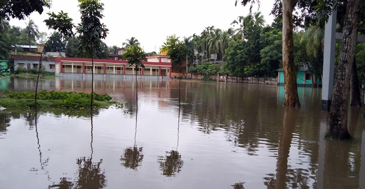 বৃষ্টিতে নাকাল নড়াইল পৌরবাসী