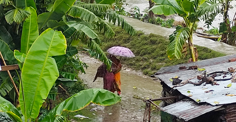 উপকূলে ভারী বৃষ্টিতে বিপর্যস্ত জনজীবন