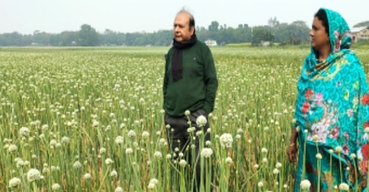 মাঘের বৃষ্টি এলো আশীর্বাদ হয়ে