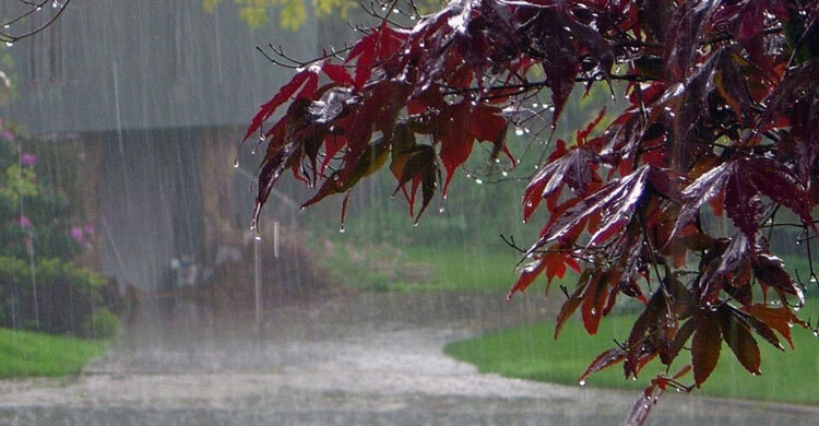 চলমান বৃষ্টি প্রবণতা আরও ২ দিন থাকতে পারে