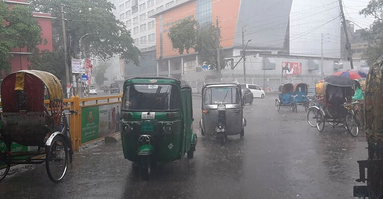 Light to moderate rain likely