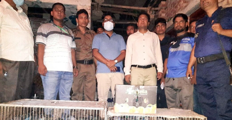 রাজশাহীতে জলময়ূরসহ ২০১ পাখি উদ্ধার